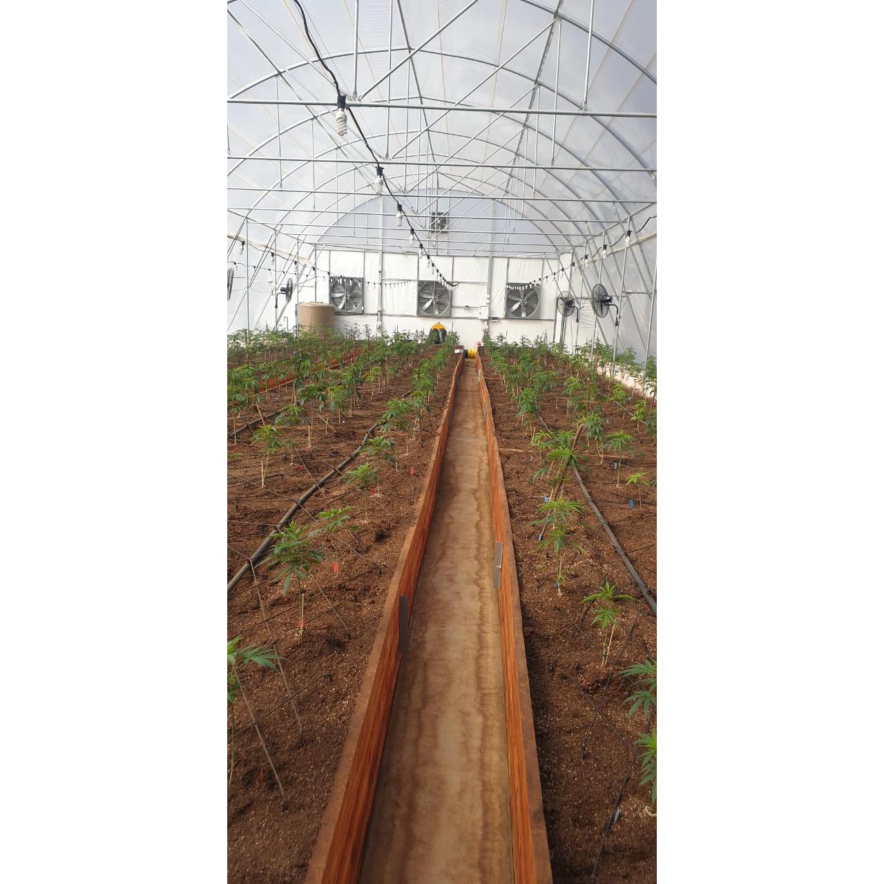 Ölheizgerät BV 400 (indirekt) - Master - PFT - Profi.de