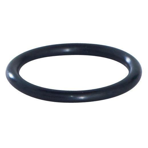 PFT O-Ring 28,17 x 3,53
