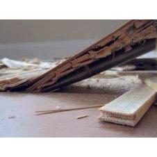 Contec - Bodenstripper / Bull 2 - PFT - Profi Verputzmaschinen kaufen