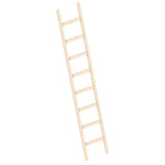 Layher - Holzanlegeleiter 1052 mit Sprossen - PFT - Profi Verputzmaschinen kaufen